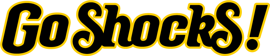 Wichita State Shockers 2011-2019 Wordmark Logo iron on transfers for T-shirts